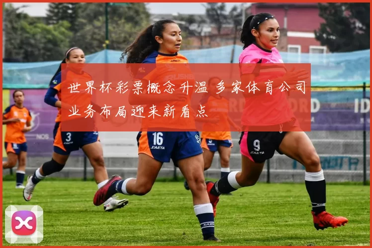 世界杯彩票概念升温 多家体育公司业务布局迎来新看点