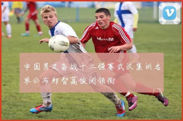 中国男足备战十二强赛武汉集训名单公布郑智蒿俊闵领衔