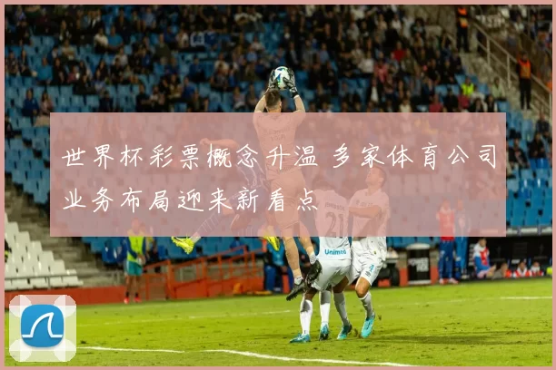 世界杯彩票概念升温 多家体育公司业务布局迎来新看点