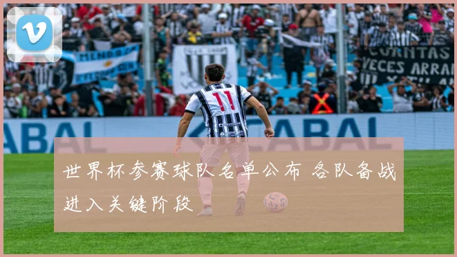 世界杯参赛球队名单公布 各队备战进入关键阶段