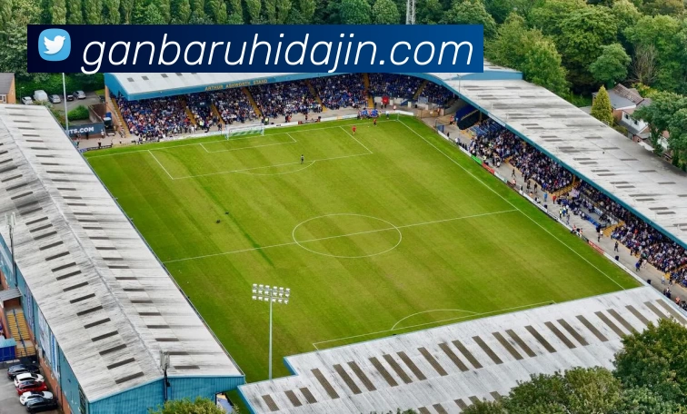 mksports登录入口平台生态图